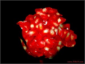 granatovaya-roza-tirov