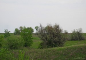 Весенний пейзаж