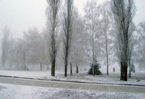 Январское утро