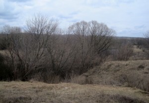 Балка у источника