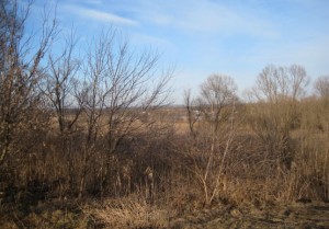 Вид на речку