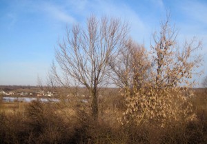 В ожидании тепла