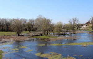 Северский Донец