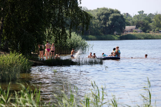 В жару приятно плескаться в воде