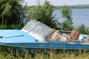 Раритет на берегу