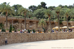 Пальмы в парке