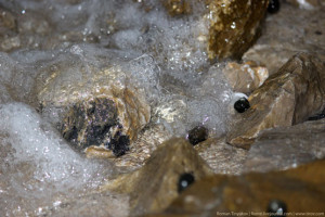 Прозрачная вода Персидского залива