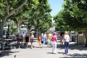 Зелень в Каннах