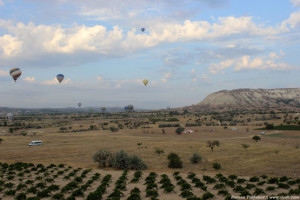 Пролетая над виноградниками