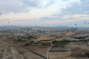 Воздушные шары над виноградниками