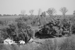 Дома утопают в зелени