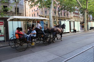 На карете в Испании