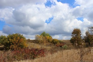 Осенний пейзаж из балки