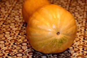 Мускатная тыква
