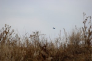 Самолёт летит в зону боевых действий