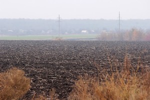 Село за полем