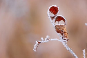 Почти как декорированный водопроводный кран