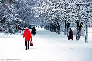 По свежему февральскому снегу