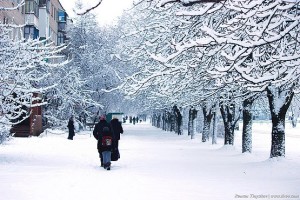 По заснеженной улице Комарова