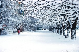 Улица Комарова в снегу