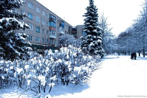 Вдоль по заснеженной улице Комарова