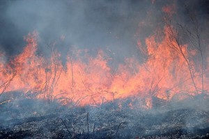 Фотография дыма у огня