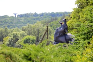 Волк в Змиеве
