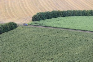 Грузовик в поле у посадки