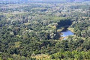 Пролетая над рекой в лесу