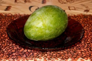 Фотография манго