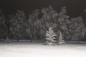 Всё в снегу и инее