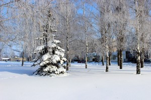 Зимняя сказка в городе Первомайский