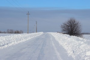 Дерево у дороги, покрытой льдом