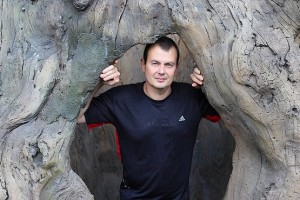 Внутри огромного дерева