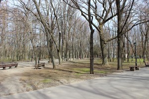 Ухоженный парк в Харькове