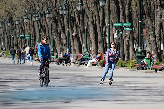 На роликах и велосипедах в парке отдыха