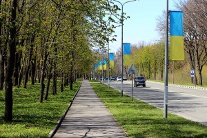 Вдоль дороги в конце апреля 2017 года
