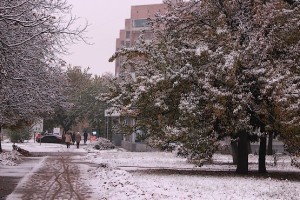 Улица в снегу октября