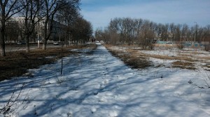 Последний километр бега по снегу