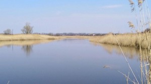 Весенняя свежесть