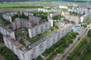 Фотография понравилась, жаль только блик от стекла поймал
