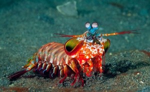 На глубине 50-ти метров