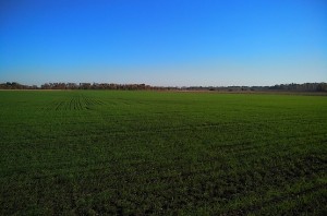 Город Первомайский на горизонте