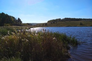 Пейзаж с октябрьской пробежки