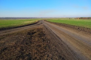 У развилки дорог нам налево