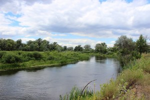Фотография реки Северский Донец