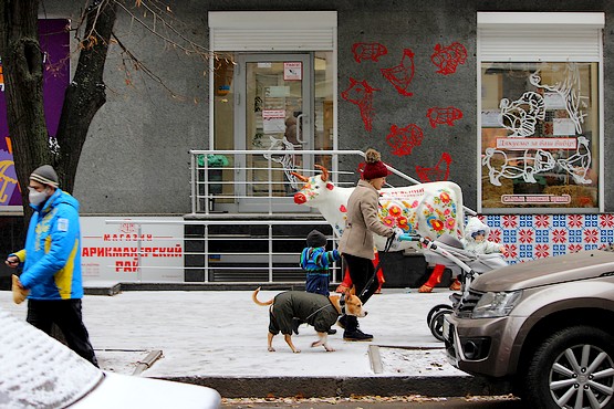 Яркие краски у мясного магазина в Харькове