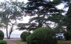 В парке у моря